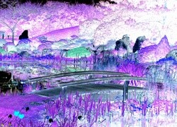 Negatyw