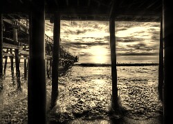 Sepia