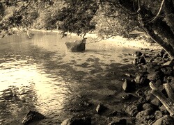 Szary + Sepia