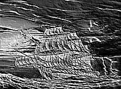 Skamielina