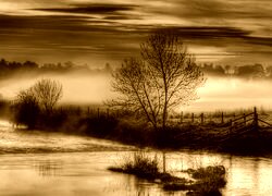 Sepia