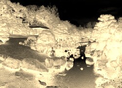 Sepia + Negatyw