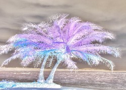 Negatyw