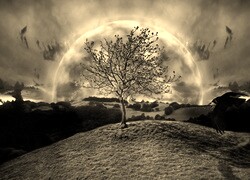 Szary + Sepia