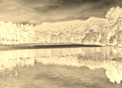 Sepia + Negatyw