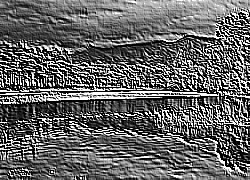 Skamielina