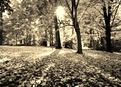 Sepia