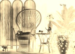Sepia + Negatyw