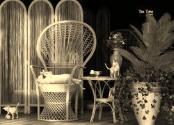 Szary + Sepia