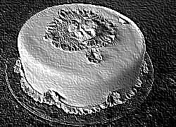 Skamielina