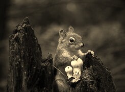 Sepia