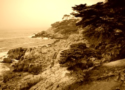 Sepia