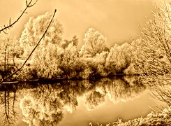 Sepia