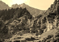 Szary + Sepia