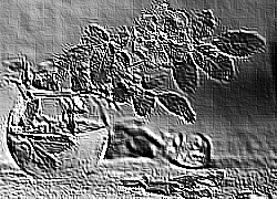 Skamielina