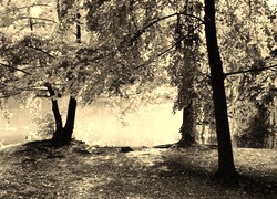 Szary + Sepia