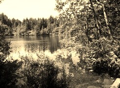 Szary + Sepia