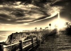 Szary + Sepia