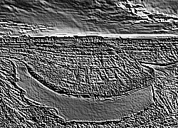 Skamielina