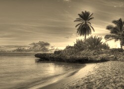 Sepia