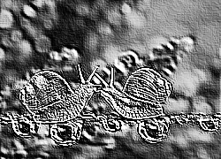 Skamielina