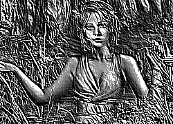 Skamielina