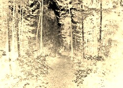 Sepia + Negatyw