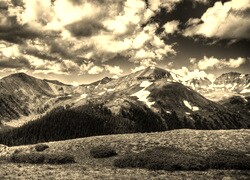 Szary + Sepia
