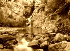 Sepia