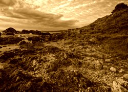 Sepia