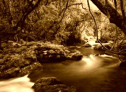 Sepia