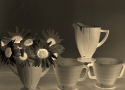 Sepia + Negatyw
