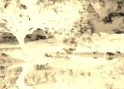 Sepia + Negatyw