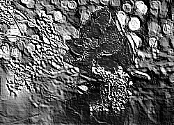 Skamielina