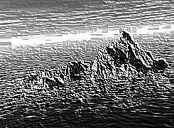 Skamielina