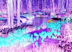 Negatyw