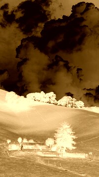 Sepia + Negatyw