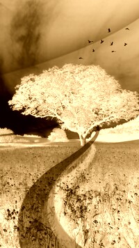 Sepia + Negatyw