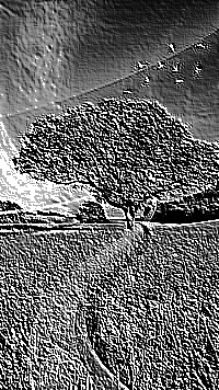 Skamielina