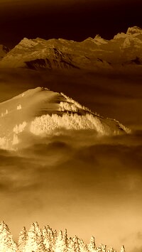 Sepia + Negatyw
