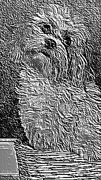 Skamielina