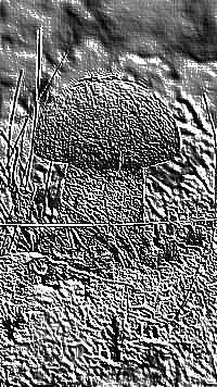 Skamielina