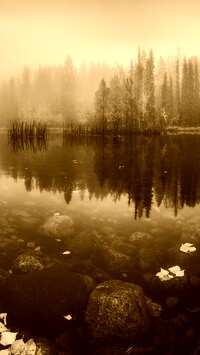 Sepia