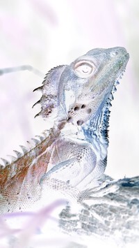 Negatyw