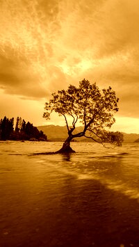 Sepia