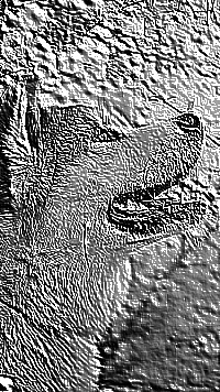 Skamielina