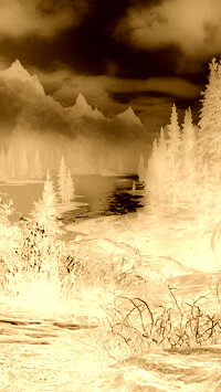 Sepia + Negatyw