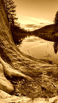 Sepia