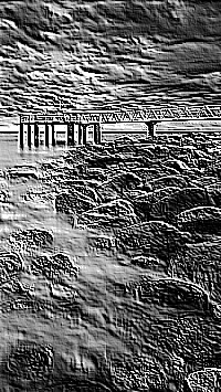 Skamielina