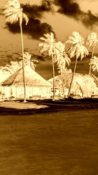 Sepia + Negatyw